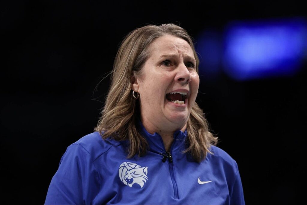 Minnesota coach Cheryl Reeve says series ‘stolen’ after poor officiating in WNBA Finals loss to Liberty